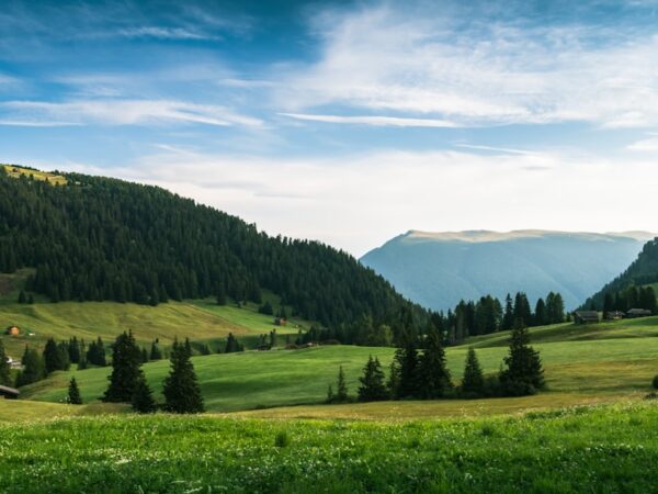 Photo Regional honey varieties