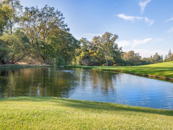 Photo Zapomnianie zboża polskie Keyword: Polish grain varieties